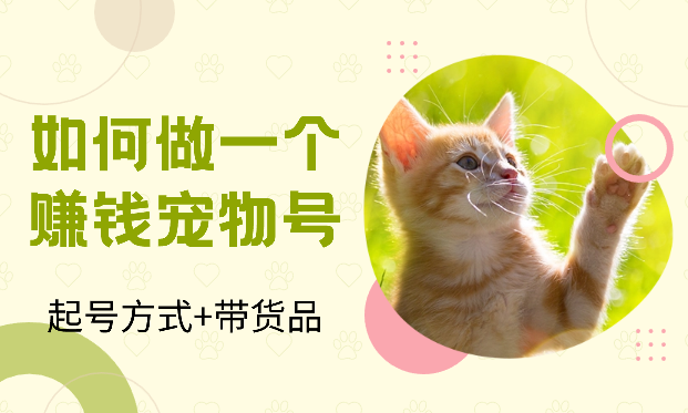 一文教你如何快速起号并做出一个赚钱的宠物号【图文】_网创工坊