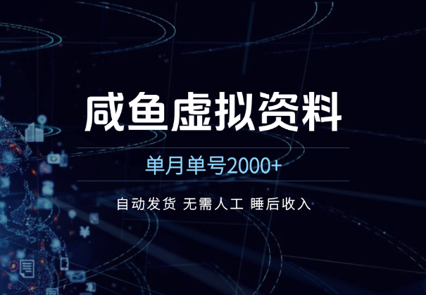 咸鱼虚拟资料 自动发货 无需人工 单月单号2000+_网创工坊