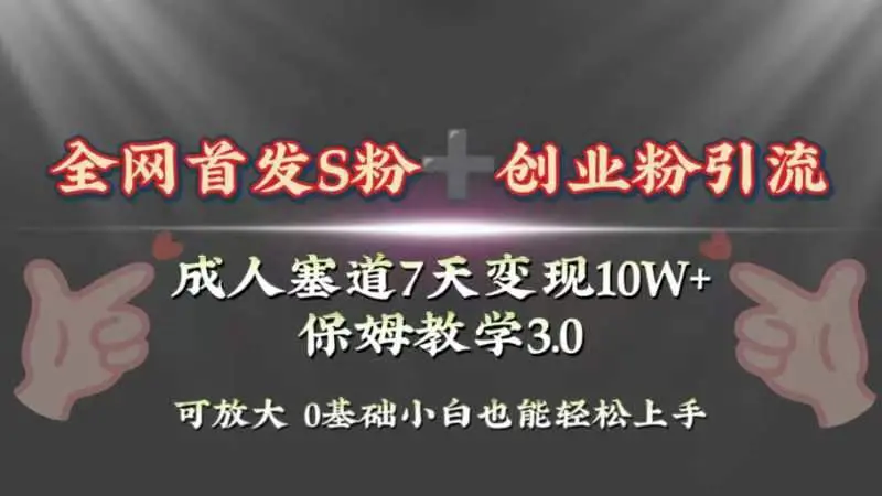 全网首发s粉加创业粉引流变现，成人用品赛道7天变现10w+保姆教学3.0_网创工坊