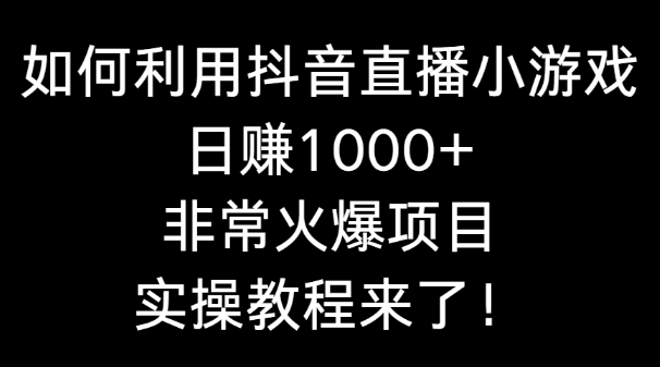 如何利用抖音直播小游戏日赚1000+，非常火爆项目，实操教程来了！_网创工坊