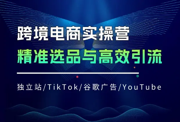 跨境电商实操营：独立站/TikTok/谷歌广告/YouTube，精准选品与高效引流_网创工坊