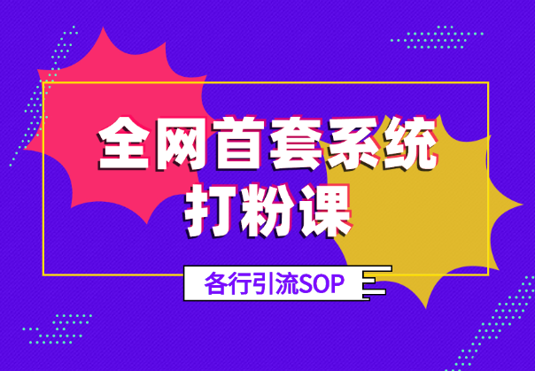 全网首套系统打粉课，手把手各行引流SOP团队实战教程_网创工坊