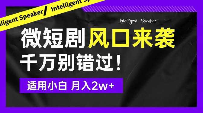 2024下半年微短剧风口来袭，免费教学 适用小白 月入2w+_网创工坊