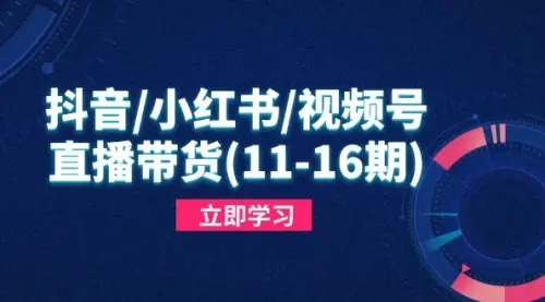 抖音/小红书/视频号/直播带货(11-16期)，快速掌握平台规则，打造爆款内容_网创工坊