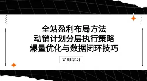 全站盈利布局方法：动销计划分层执行策略，爆量优化与数据闭环技巧_网创工坊