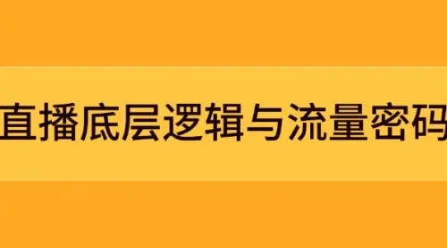 直播底层逻辑与流量密码：定位模型+案例拆解，急速流承接与数据优化全攻略_网创工坊