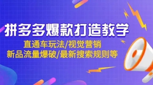 拼多多爆款打造教学：直通车玩法/视觉营销/新品流量爆破/最新搜索规则等_网创工坊