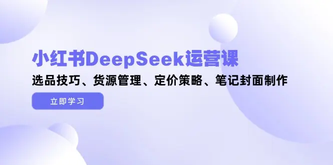 小红书DeepSeek运营课，选品技巧、货源管理、定价策略、笔记封面制作_网创工坊