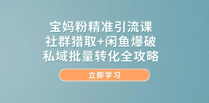 宝妈粉精准引流课，社群猎取+闲鱼爆破，私域批量转化全攻略_网创工坊
