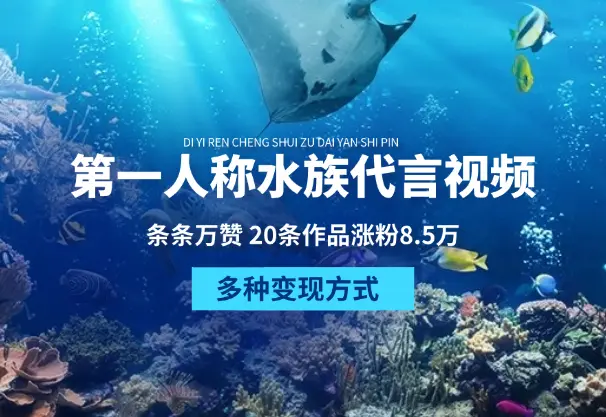 第一人称水族代言视频，条条万赞，多种变现方式，详细教程_网创工坊