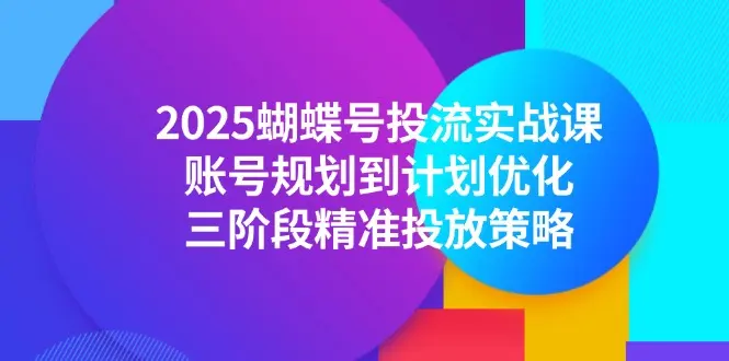 2025蝴蝶号投流实战课，账号规划到计划优化，三阶段精准投放策略_网创工坊