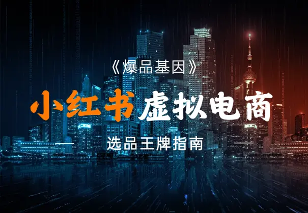 《爆品基因》：小红书虚拟电商选品王牌指南_网创工坊