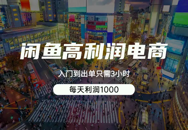 闲鱼高利润电商，入门到出单只需3小时，每天利润1000_网创工坊