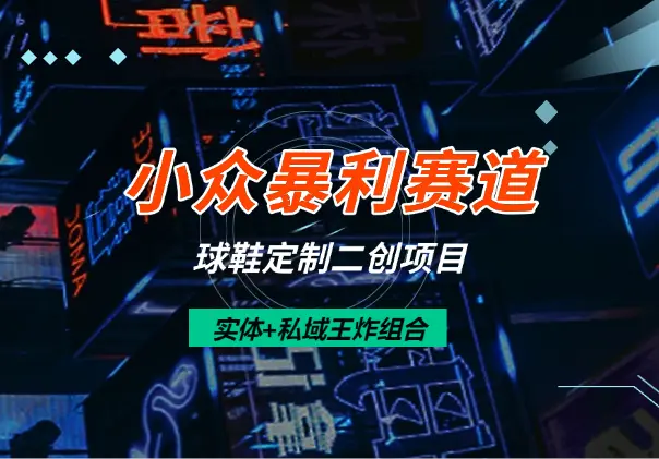 小众暴利赛道(球鞋定制，二创项目)实体+私域2025王炸组合_网创工坊
