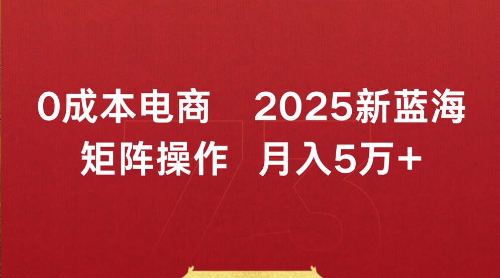 0成本电商2025新蓝海矩阵操作 月入5万+_网创工坊