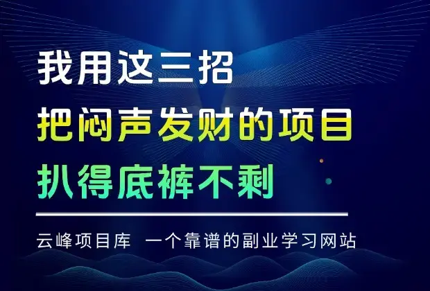我用这三招，把闷声发财的项目扒得底裤不剩_云峰项目库