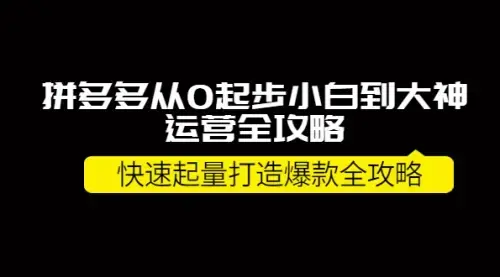 拼多多从0起步小白到大神运营全攻略，快速起量打造10W+爆款全攻略！_云峰项目库