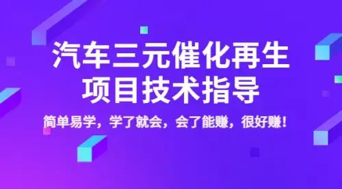 汽车三元催化再生项目技术指导，简单易学，学了就会，会了能赚，很好赚_云峰项目库