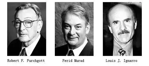 图片[2]_超氧化物歧化酶（SOD），抗衰与健康的关键因素_轻养有术