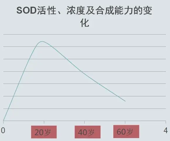 图片[3]_超氧化物歧化酶（SOD），抗衰与健康的关键因素_轻养有术