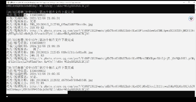 20241208212843112-image