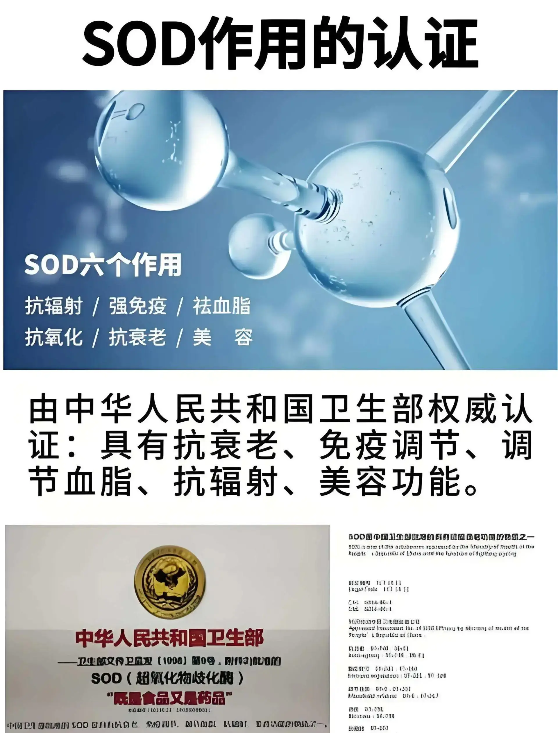 图片[2]_震惊！免疫力崩盘的元凶竟是缺它？90%的人不知道SOD竟能”修复”免疫系统！​_轻养有术