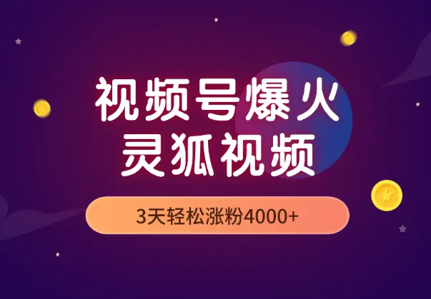 5分钟教你制作视频号爆火的灵狐视频，3天轻松涨粉4000+_知峰项目库