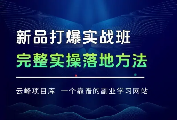 《新品打爆实战班》一套完整的实操实战落地方法，打爆链接超2000+（38节课)_云峰项目库