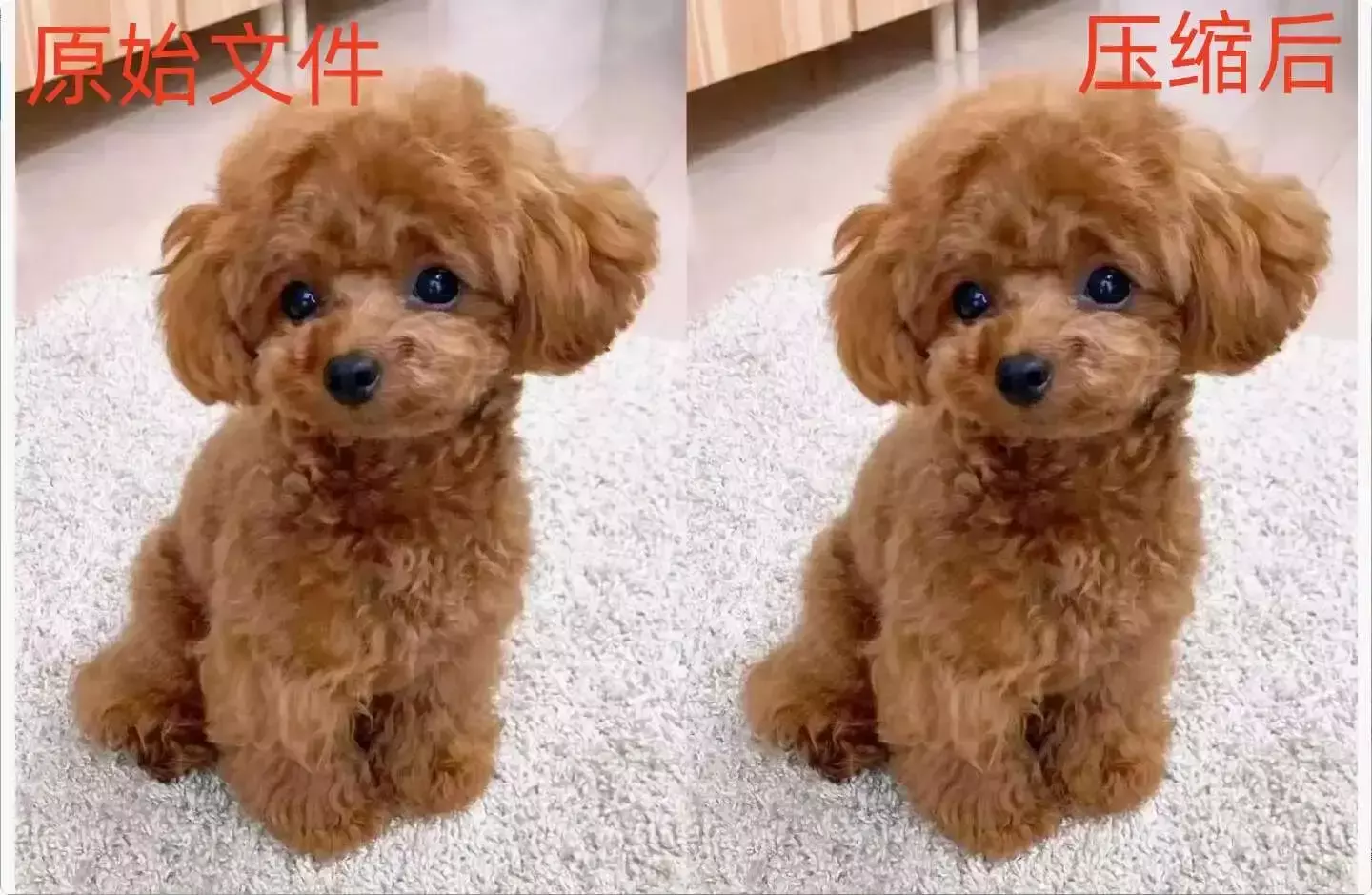 图片[6]-再也不用担心压缩画质！这两款免费图片压缩软件让你轻松搞定    [M143]-知峰社