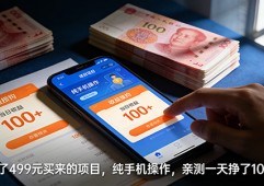花了499元买来的项目，纯手机操作，亲测一天挣了100+
